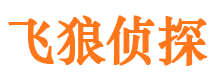 桓台私家侦探公司